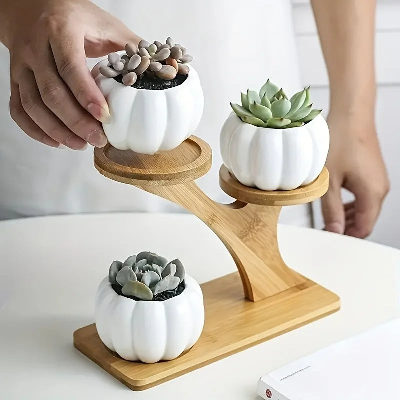 Estante Decorativa de Bambu em 2 Níveis